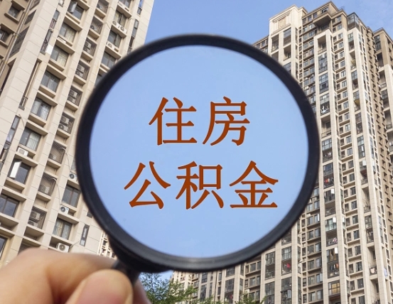 江门退休后查不到公积金明细了吗（退休后公积金查询不到原因）